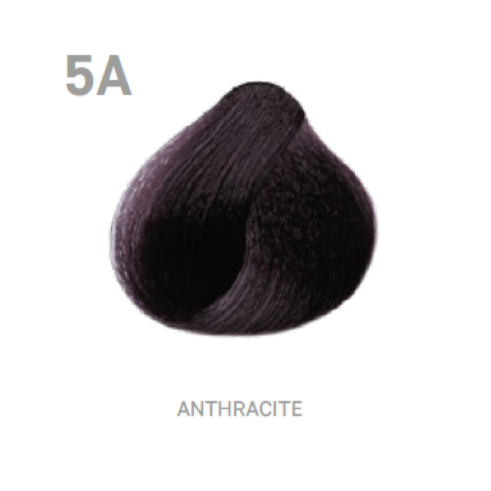 Raywell Tinta In Crema Color Plex 100ml 5A Antracite