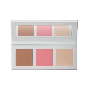 Ddpalma icy bloom-face palette 356